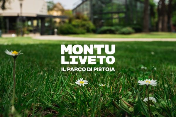 La rinascita del parco Monteoliveto, luogo di crescita